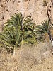 2024-12-29 :2: LOST - Arnett Canyon Segment :: Vashti