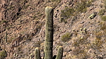 2024-12-30 :2: Sawyer Peak 4293 - Black Mtns - Tres Alamos :: chumley