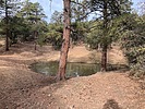 photo thumbnail #12