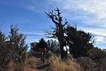 photo thumbnail #9