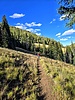 photo thumbnail #11
