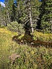 photo thumbnail #13