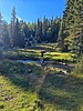 photo thumbnail #14