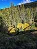 photo thumbnail #12