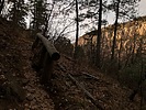 photo thumbnail #3