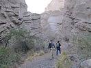 photo thumbnail #3