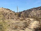 photo thumbnail #4