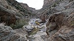 photo thumbnail #12