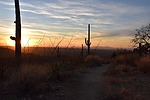 photo thumbnail #9