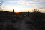 photo thumbnail #11