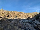 photo thumbnail #4