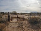 photo thumbnail #11