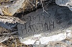 photo thumbnail #3