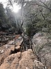photo thumbnail #5