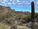 photo thumbnail #9