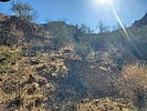 photo thumbnail #13
