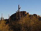 photo thumbnail #3
