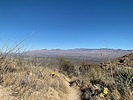 photo thumbnail #8