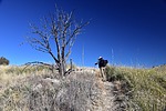 photo thumbnail #14