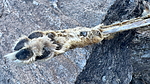 photo thumbnail #5