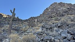 photo thumbnail #6