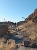 photo thumbnail #3