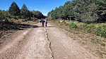 photo thumbnail #14