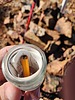 photo thumbnail #13