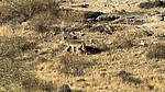 2025-01-14 :2: Marcos De Niza - South Mountain :: LindaAnn