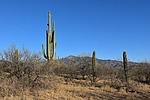 photo thumbnail #2