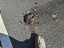 photo thumbnail #7