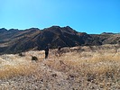 photo thumbnail #13
