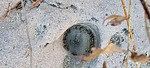photo thumbnail #15