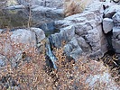 photo thumbnail #5