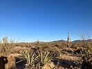 photo thumbnail #8