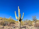 photo thumbnail #14