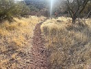 photo thumbnail #4