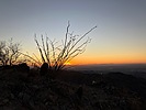 photo thumbnail #11
