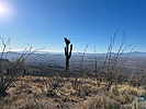 2025-01-15 :2: Tanque Verde Peak :: fricknaley