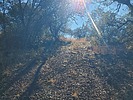 photo thumbnail #15