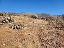 photo thumbnail #9