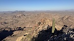 photo thumbnail #6