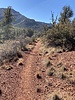 photo thumbnail #2