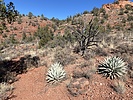 photo thumbnail #5