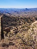 photo thumbnail #5