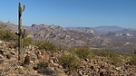 photo thumbnail #6