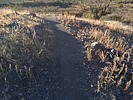 photo thumbnail #1