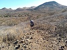 photo thumbnail #4
