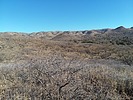 photo thumbnail #5