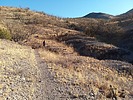 photo thumbnail #3